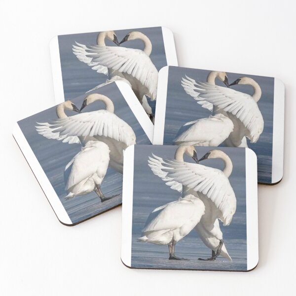 Item preview, White swans designed and sold by KreativT-shirts.