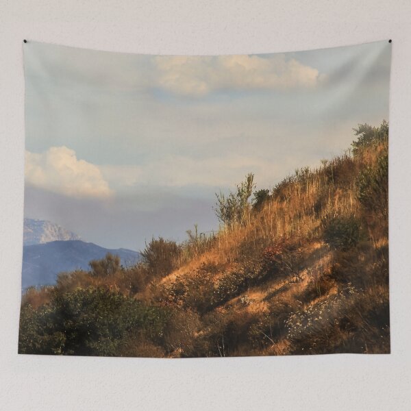 Item preview, De camino a Borrego designed and sold by heatherfriedman.