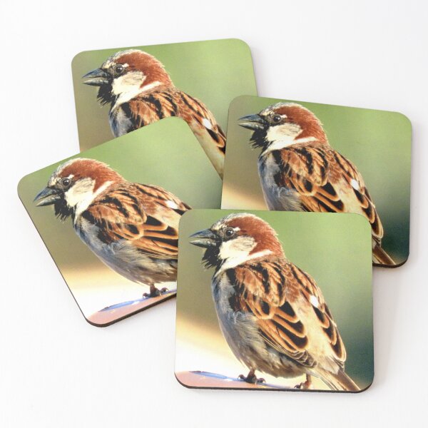 Item preview, Sparrow in song designed and sold by Stillherex.com Stillherex.es.