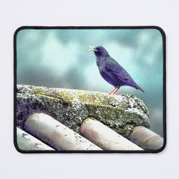 Item preview, Sturnus unicolor designed and sold by Stillherex.com Stillherex.es.