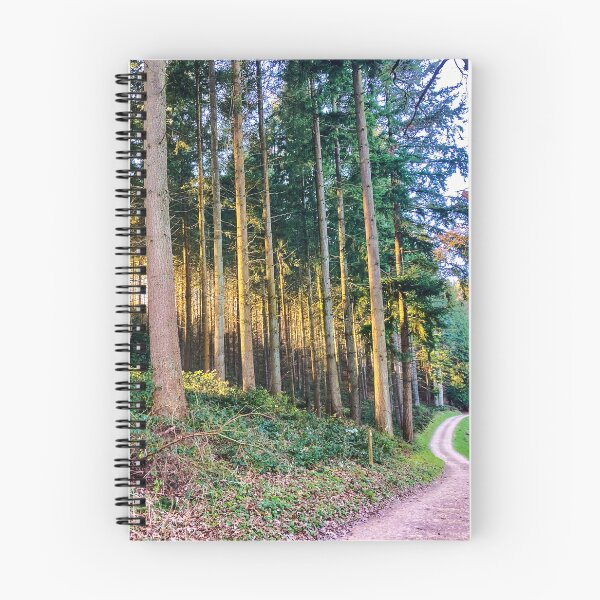 Item preview, Woodland walk. designed and sold by ScenicViewPics.