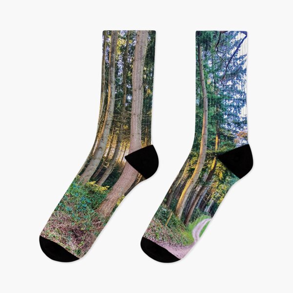 Item preview, Woodland walk. designed and sold by ScenicViewPics.