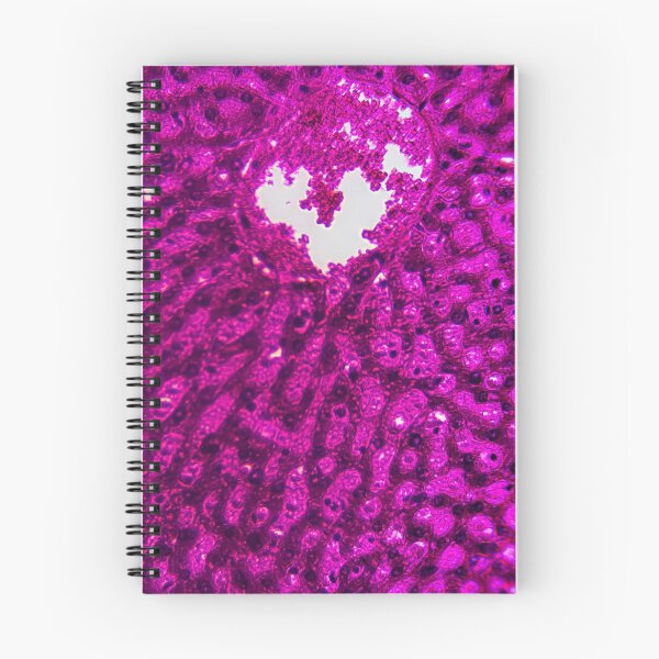 Item preview, Suslever - Pig Liver - Microscopy Photograph designed and sold by DreamPieces.
