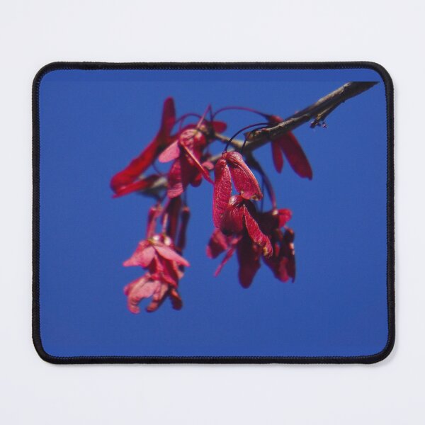 Item preview, Pink Maple Tree whirligigs in a Florida Blue Sky designed and sold by Easley-Does-It.