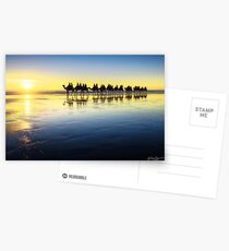 The Cable Beach Camels Postcards