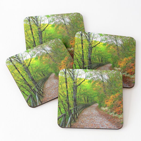 Item preview, View from Lago di Boccafornace in Pievebovigliana, Valfornace (Macerata) with a path through a thicket designed and sold by Kristina Drozd.
