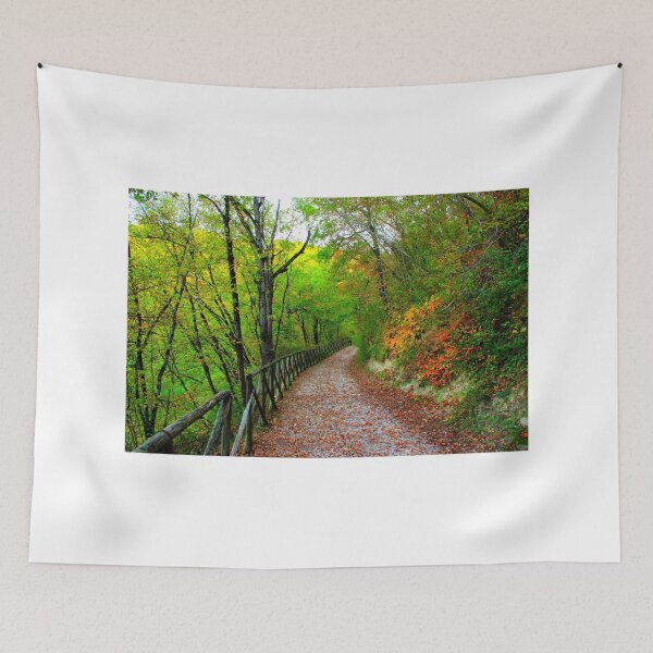 Item preview, View from Lago di Boccafornace in Pievebovigliana, Valfornace (Macerata) with a path through a thicket designed and sold by Kristina Drozd.