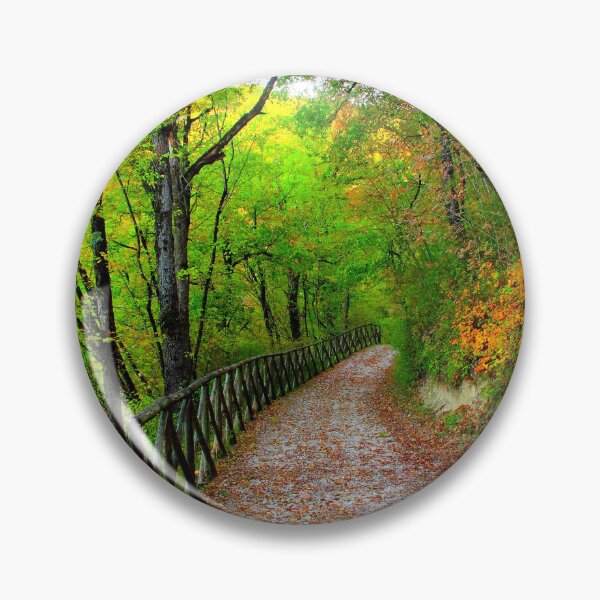 Item preview, View from Lago di Boccafornace in Pievebovigliana, Valfornace (Macerata) with a path through a thicket designed and sold by Kristina Drozd.