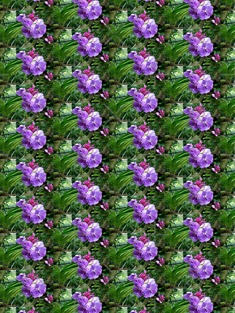 Thumbnail 5 of 5, Graphic T-Shirt, Princess Mikasa Blue Orchid designed and sold by TanyaOwens.