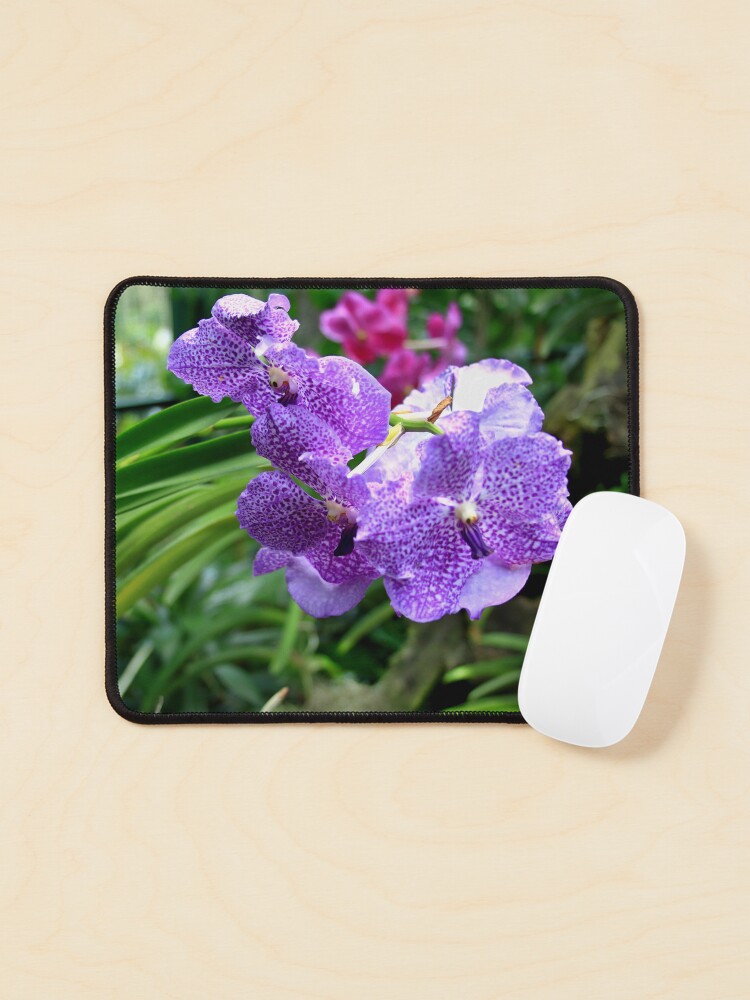 Thumbnail 1 of 5, Mouse Pad, Princess Mikasa Blue Orchid designed and sold by TanyaOwens.
