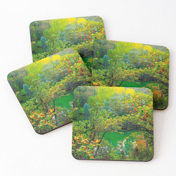 Item preview, Scenery from Lago di Boccafornace in Pievebovigliana, Valfornace (Macerata) with foliage, trunks, branches, lake designed and sold by Kristina Drozd.