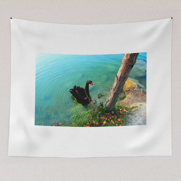 Item preview, View from Lago di Boccafornace in Pievebovigliana, Valfornace (Macerata) with a swan, waters, waves, trunk designed and sold by Kristina Drozd.