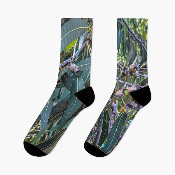 Item preview, Gum Leaves and Gumnuts - Bendigo, Victoria, Australia designed and sold by Steven Jodoin.