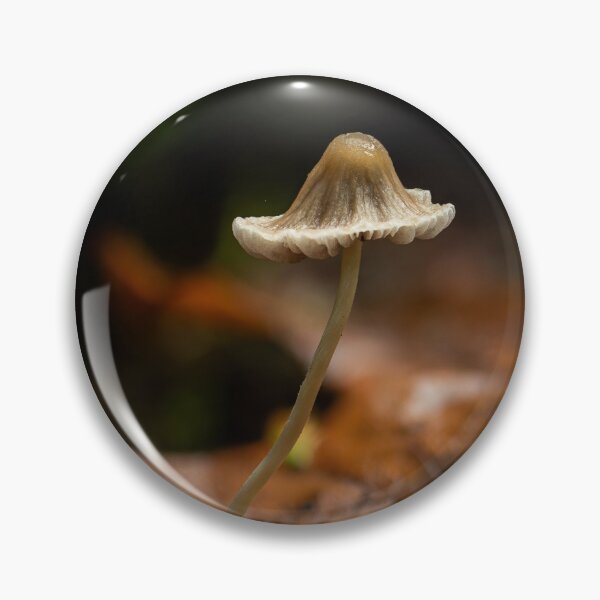 Item preview, Mycena mushrooom designed and sold by millivedder.