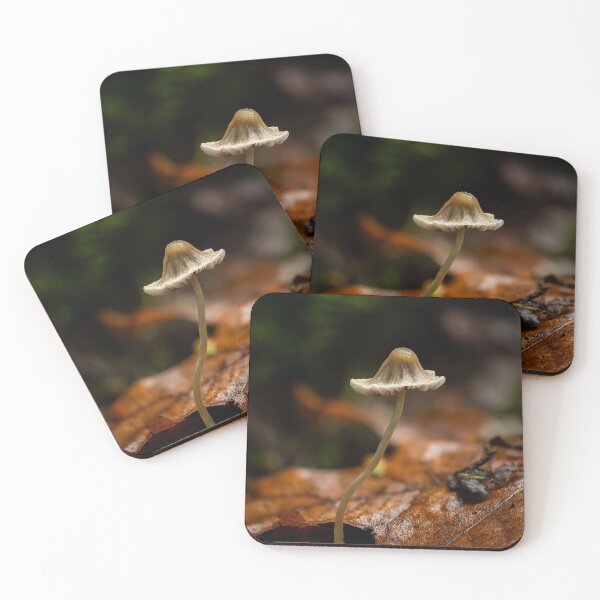 Item preview, Mycena mushrooom designed and sold by millivedder.