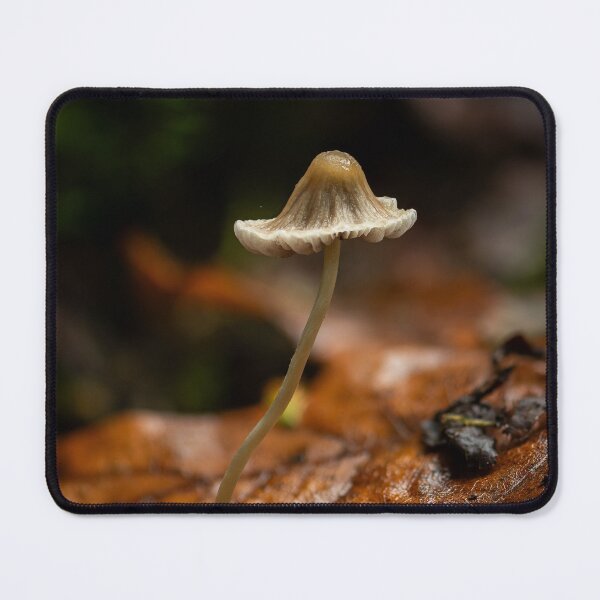 Item preview, Mycena mushrooom designed and sold by millivedder.