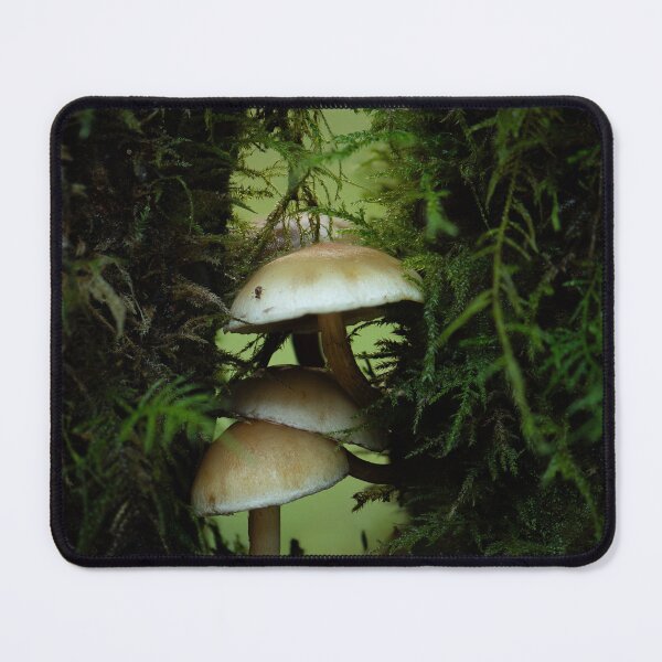 Item preview, Growing between two stumps designed and sold by millivedder.