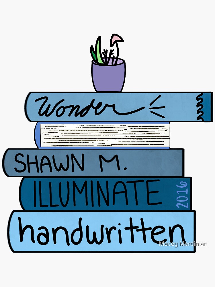 Shawn Mendes Handwritten Book good