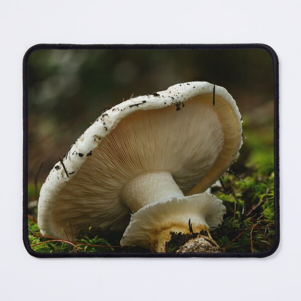 Item preview, Matsutake designed and sold by millivedder.
