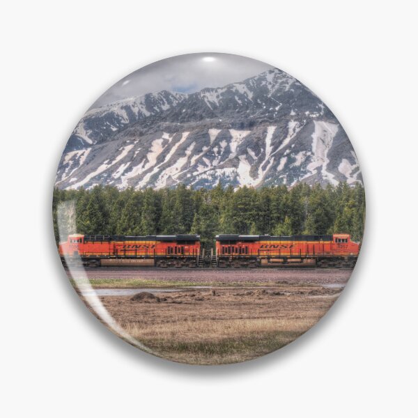 Item preview, Burlington Northern Santa Fe # 4257 designed and sold by RandyDyer.