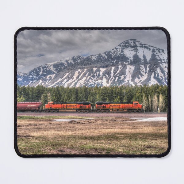 Item preview, Burlington Northern Santa Fe # 4257 designed and sold by RandyDyer.