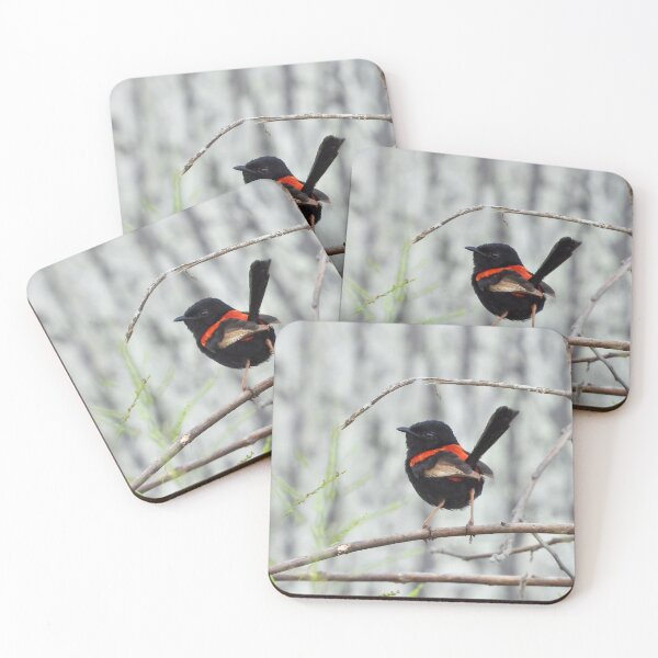 Item preview, Red-backed Fairy wren just looking good designed and sold by Mark Grimsley.