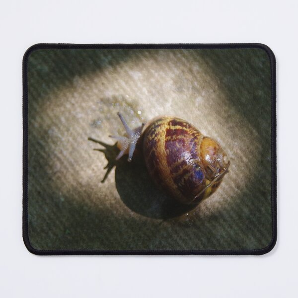 Item preview, Cornu aspersum (Garden Snail) designed and sold by lezvee.