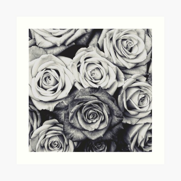 Roses Art Print