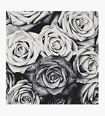 Roses Photographic Print