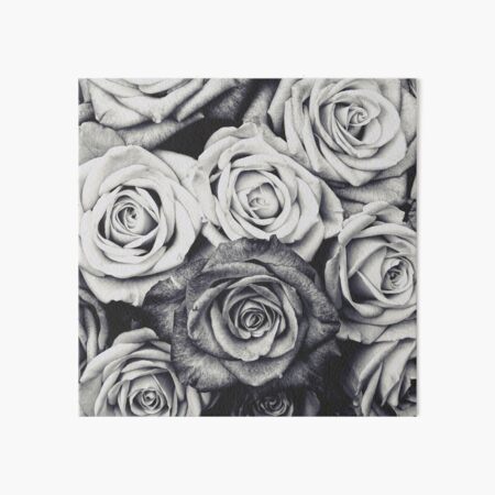 Roses Art Board Print