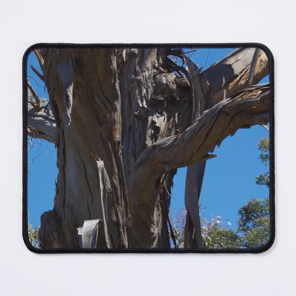 Item preview, Hanging Rock Tree, Australia designed and sold by lezvee.