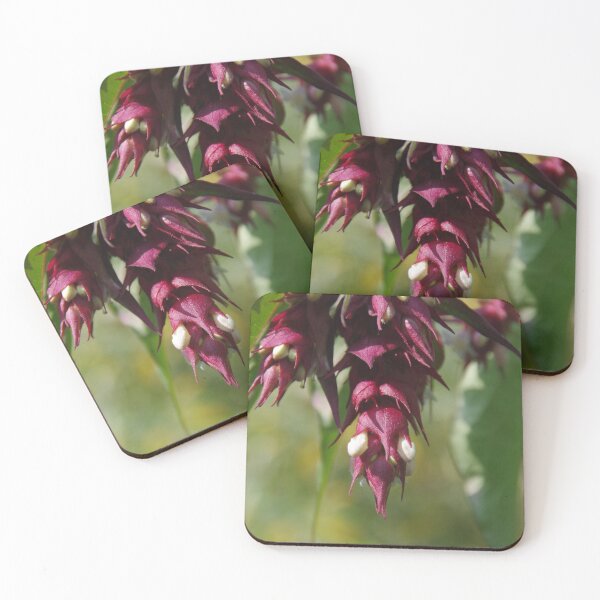 Item preview, Leycesteria designed and sold by lezvee.