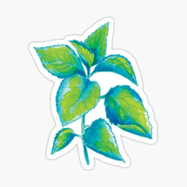 Item preview, Nettle designed and sold by GENEST-V.
