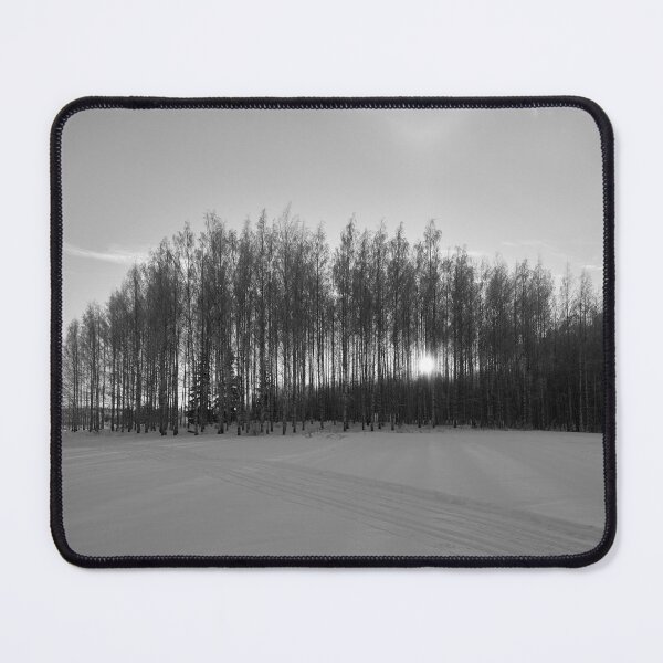 Item preview, Sun behind the birches at Pirkkala bw designed and sold by Jouko Lehto Photography.