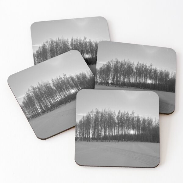 Item preview, Sun behind the birches at Pirkkala bw designed and sold by Jouko Lehto Photography.