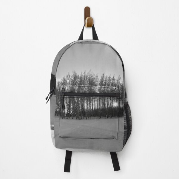 Item preview, Sun behind the birches at Pirkkala bw designed and sold by Jouko Lehto Photography.