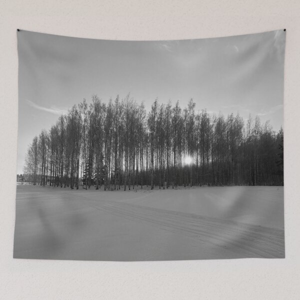 Item preview, Sun behind the birches at Pirkkala bw designed and sold by Jouko Lehto Photography.
