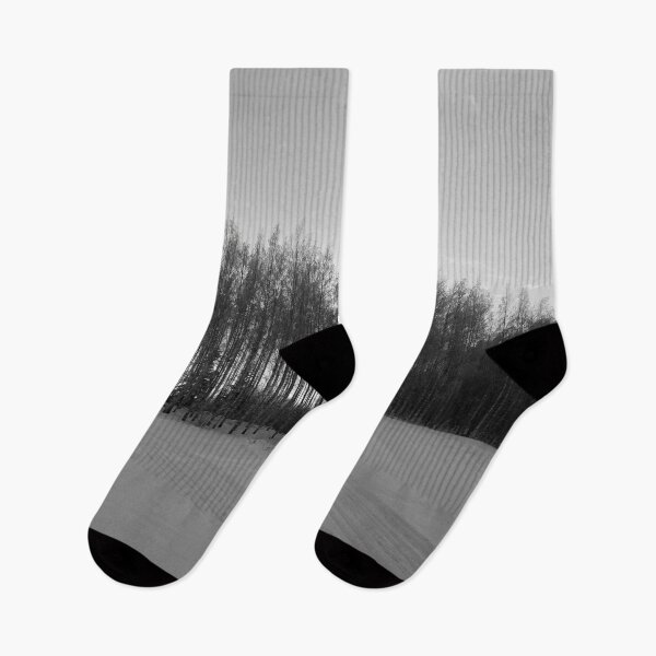 Item preview, Sun behind the birches at Pirkkala bw designed and sold by Jouko Lehto Photography.