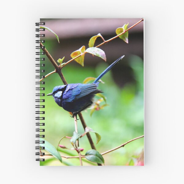 Item preview, Blue Wren  designed and sold by TMHCreativeCo.