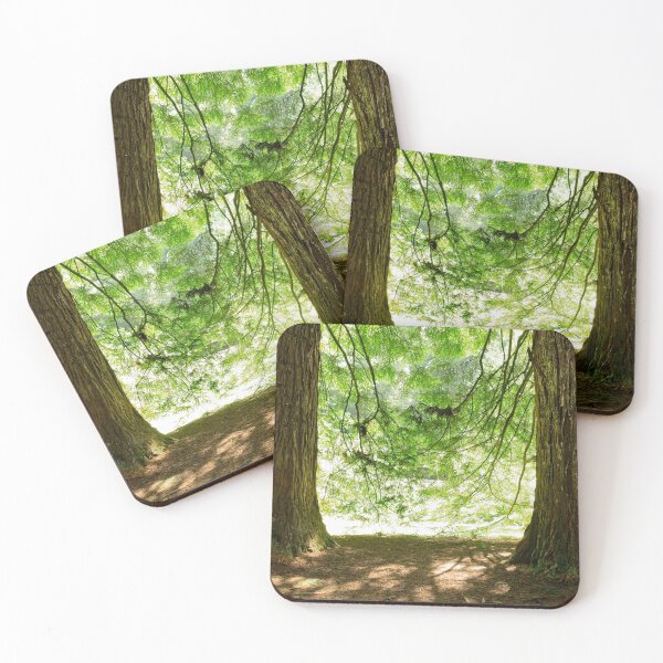 Item preview, In, Looking Out designed and sold by Linda Lees.
