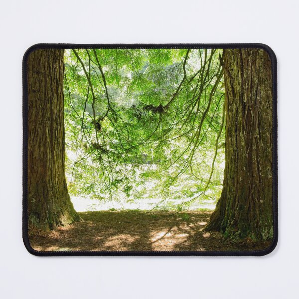 Item preview, In, Looking Out designed and sold by Linda Lees.