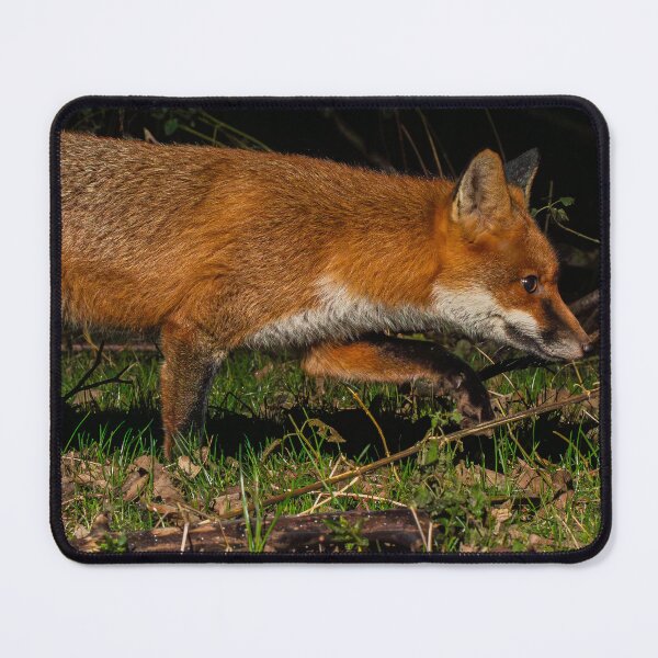 Artikelvorschau, Fuchs entworfen und verkauft von MTPhotos1406.