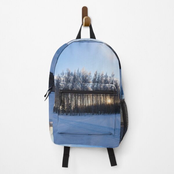 Item preview, Sun behind the birches at Pirkkala designed and sold by Jouko Lehto Photography.