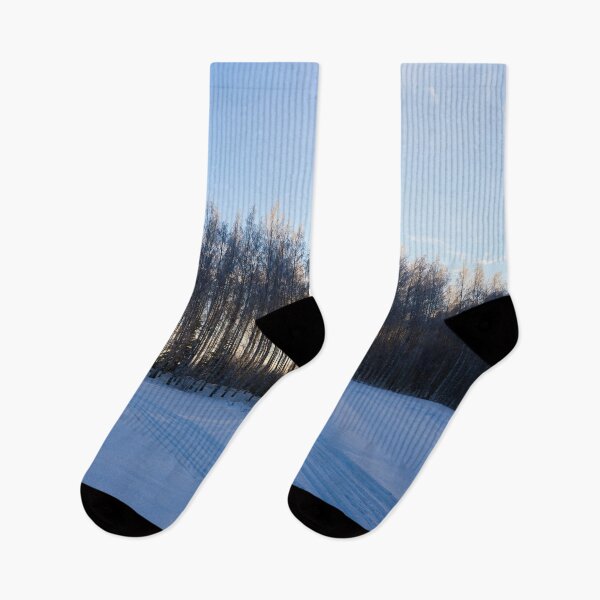 Item preview, Sun behind the birches at Pirkkala designed and sold by Jouko Lehto Photography.