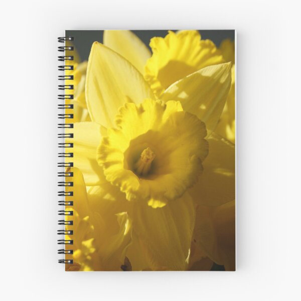 Item preview, Daffodil 2 designed and sold by Peta Jamieson.