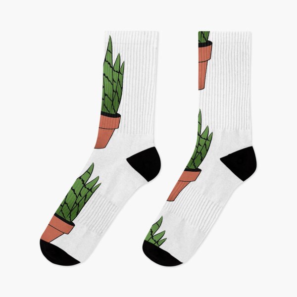 Item preview, Snake plant | Sansevieria designed and sold by BurunaMD.