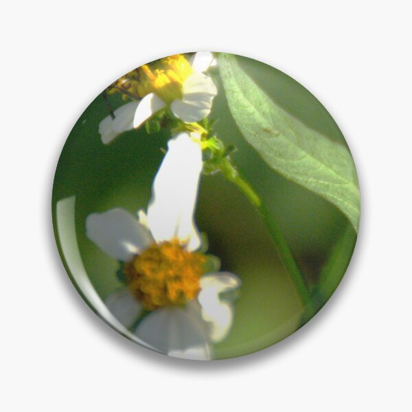 Item preview, Leaf-Cutter Bee designed and sold by MercerImages.