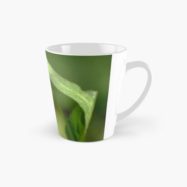 Item preview, Leaf-Cutter Bee designed and sold by MercerImages.
