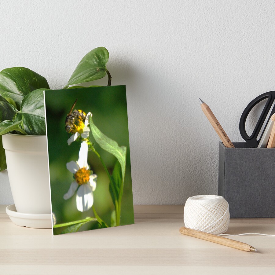 Item preview, Art Board Print designed and sold by MercerImages.