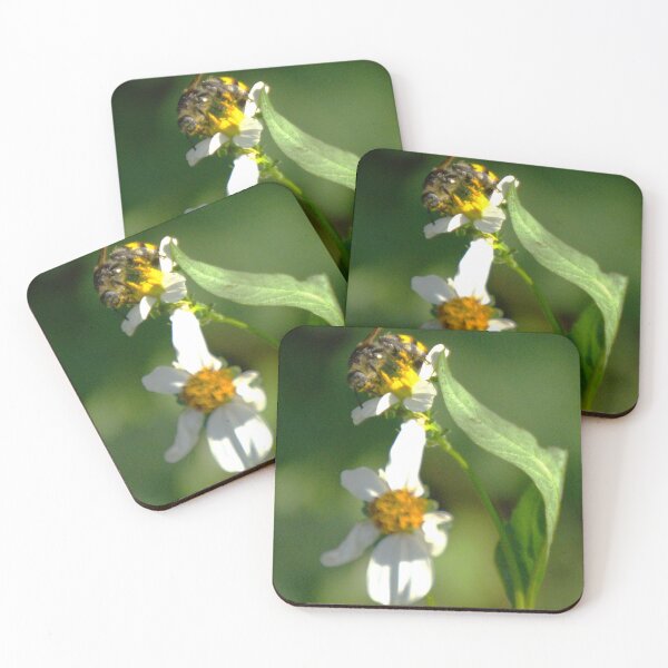 Item preview, Leaf-Cutter Bee designed and sold by MercerImages.